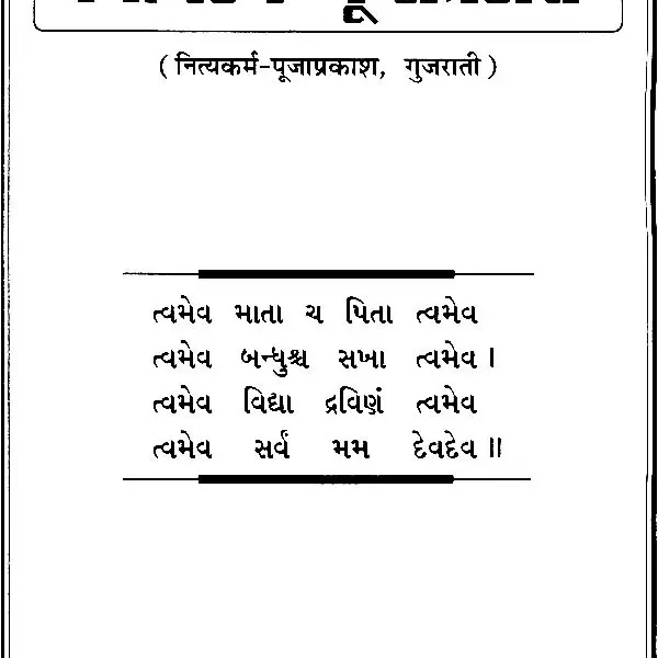 નિત્યકર્મ પુજાપ્રકાશ: A Most Useful Book for Performing Puja (Gujarati)